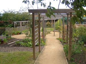 Pathways