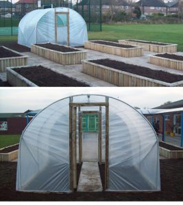 Polytunnels