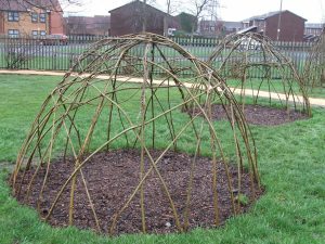 Willow Domes