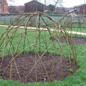 Willow Domes