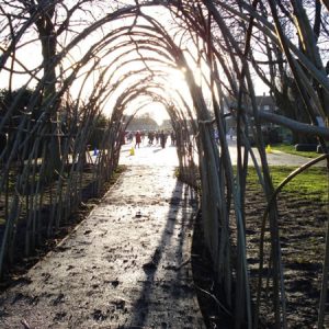 Willow Tunnels