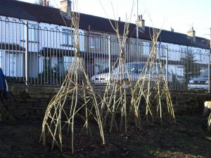 Willow Wigwams