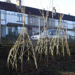 Willow Wigwams