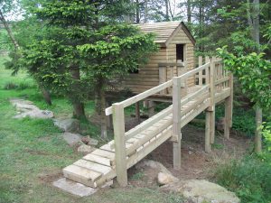 Treehouse